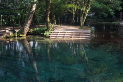 山口 別府弁天池