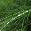 雫 2