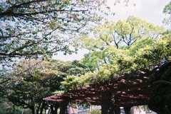 春→夏