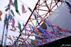 大漁