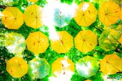 アンブレラ
