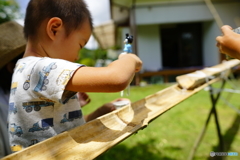 甥っ子の成長