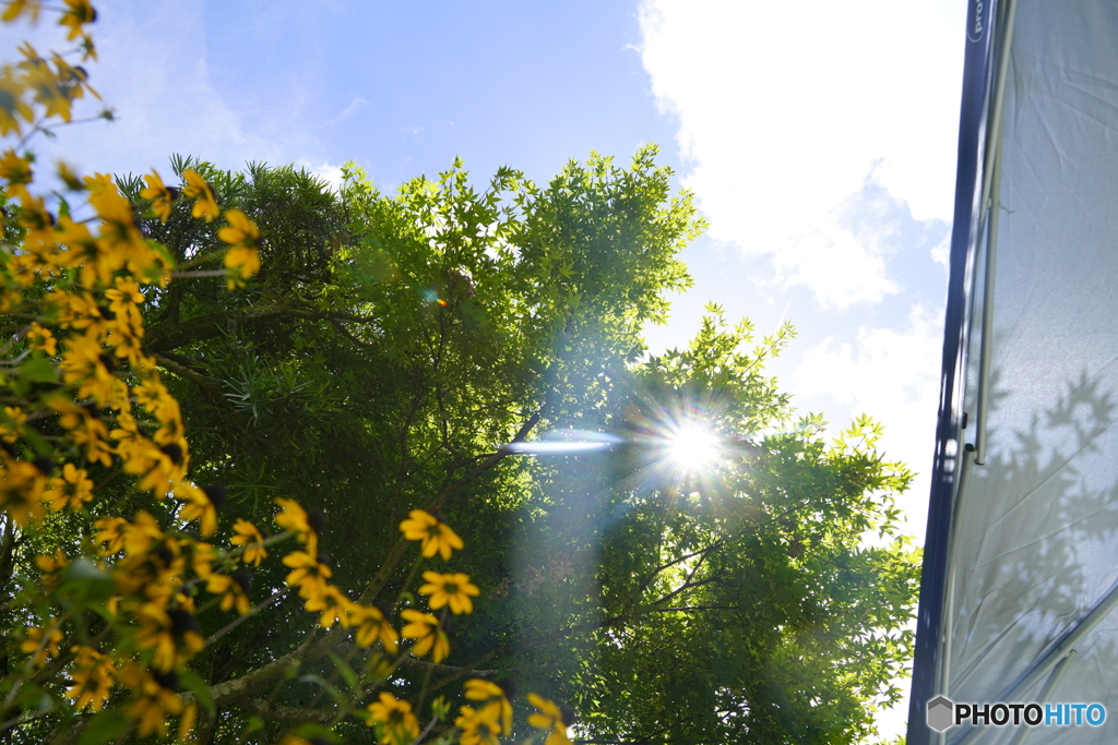 地元の夏、平成最後の夏