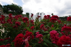 白雲花園 噴水