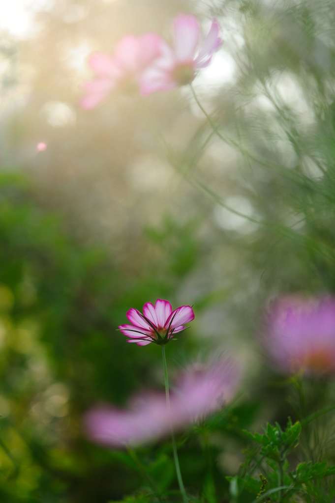 DSC_3264_186