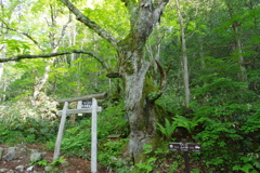 山の神