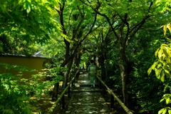 静錫と