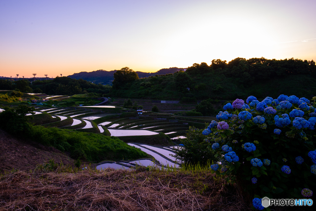 春は夕暮れ