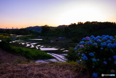 春は夕暮れ