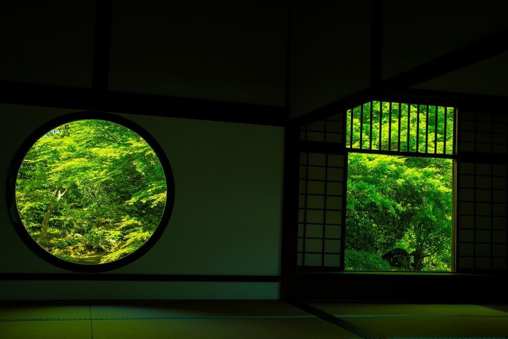 緑の時を止めて