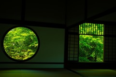 緑の時を止めて