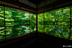 碧の幻影