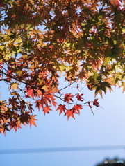 円覚寺2018