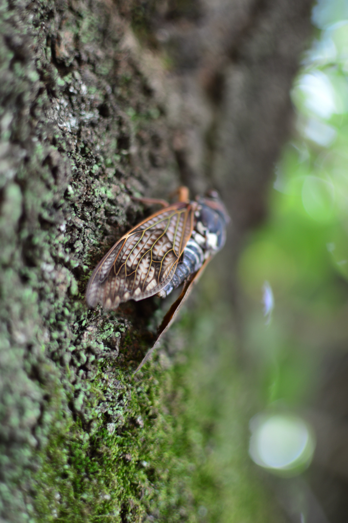 DSC_0006_00001_01