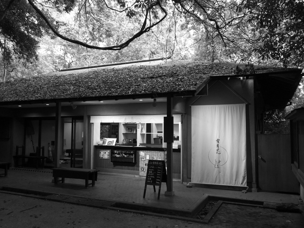 モノクロームな世界 等々力渓谷