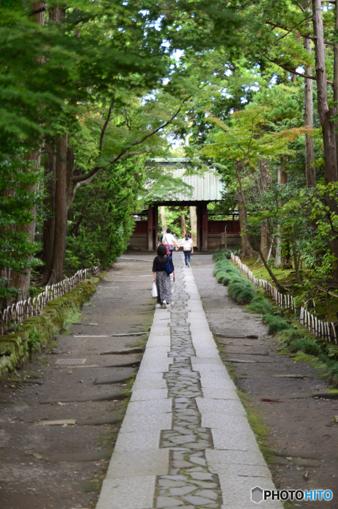 北条政子眠る　寿福寺