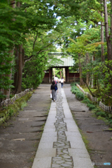 北条政子眠る　寿福寺