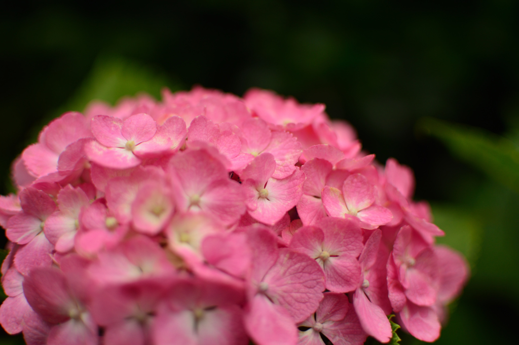 DSC_0085_00031