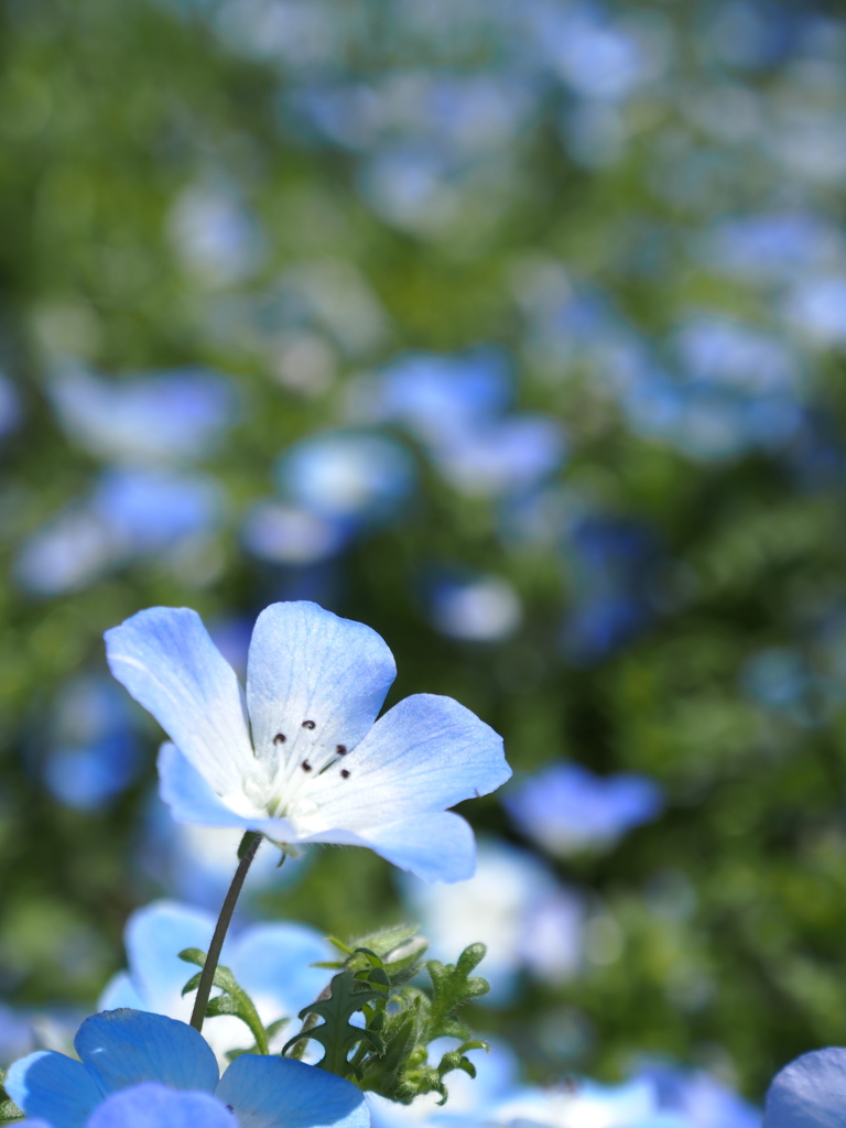 P5085033