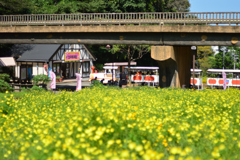 オールドレンズの魅力