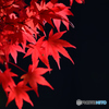 御岳渓谷紅葉