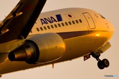 夕陽を受けて離陸するB767-300ER