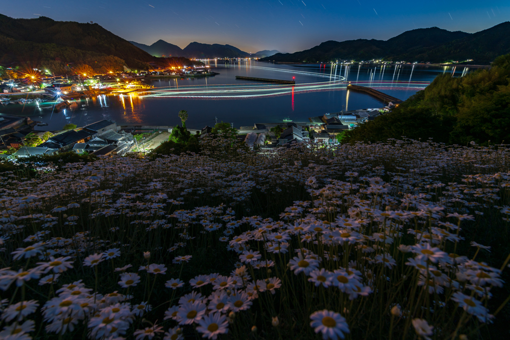 島の花畑