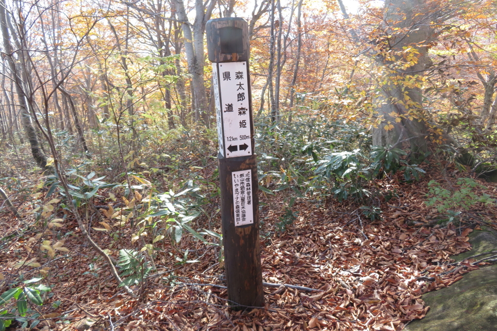 0906Gkt112