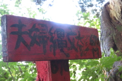 0944Okr116 0944Okr116