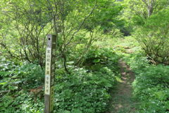 0847Tkr116 0847Tkr116