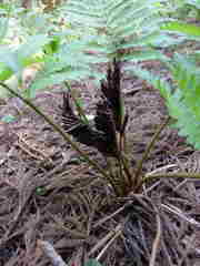 0850Uks111 0850Uks111