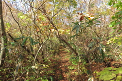 0828Gkt106