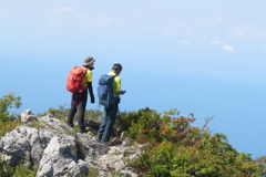 1143Okr141 1143Okr141