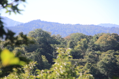 0925Gto149 0925Gto149