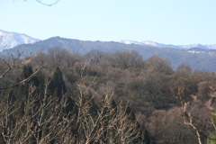 0938Ggc142