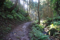 0857Gto135 0857Gto135