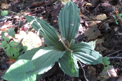 0920Okr113 0920Okr113