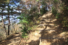 1108Gtg137
