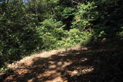 0919Gto145 0919Gto145