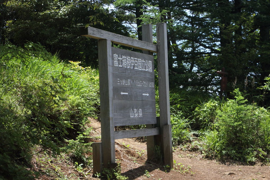 1215Mt136