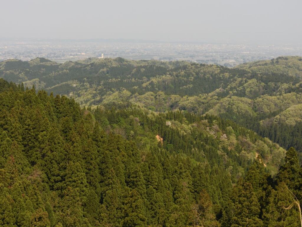 0843Chg_00111
