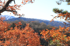 1005Gnt133 1005Gnt133