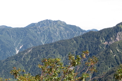 0951Okd137 0951Okd137