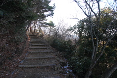 0942Gty177