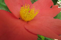 1016Tkr148 1016Tkr148