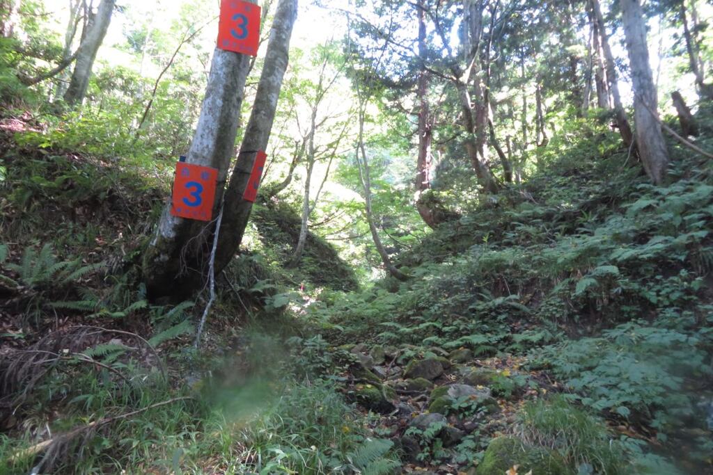Otz201002_094623