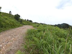 Tgk0531-0830_01
