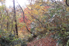 1000Osj111 1000Osj111