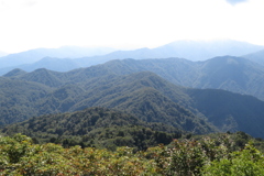 1146Okr147 1146Okr147