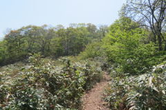 1009Uks123 1009Uks123